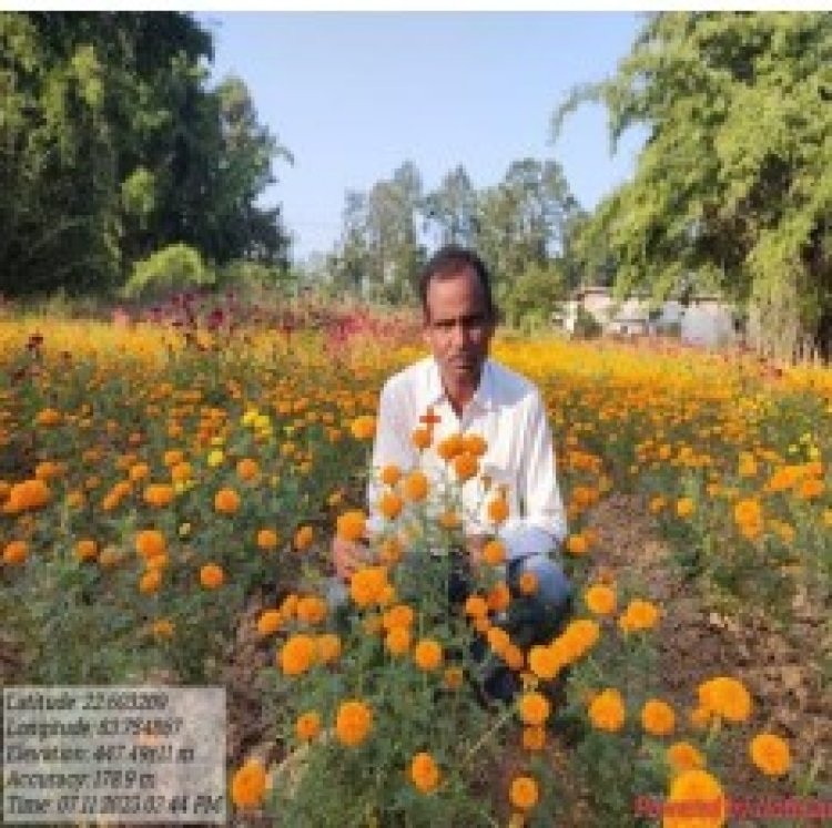 गेंदा फूल की खेती ने बदली किसान लक्ष्मण की किस्मत : उद्यानिकी के क्षेत्र में जशपुर जिला के किसान हो रहे लाभ उठाकर सशक्त और आर्थिक रूप से मजबूत
