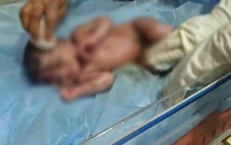 Chhattisgarh News : मानवता हुई शर्मसार.! खेत में नवजात को दफन करने की कोशिश...रोने की आवाज सुन ग्रामीणों ने बचाई जान...पढ़ें पूरी खबर