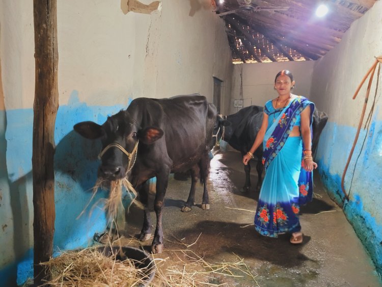 लखपति दीदी बन रूणा अपने गांव की महिलाओं को भी कर रही है प्रेरित, बिहान से जुड़कर व मुद्रा लोन के माध्यम से डेयरी का खड़ा किया व्यवसाय