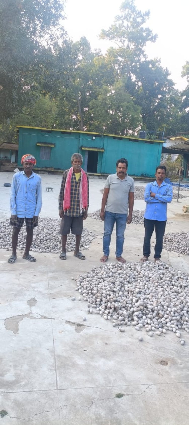 रेशम विभाग द्वारा संचालित कोसा पालन से जशपुर जिला के किसान बन रहे समृद्ध : प्रत्येक किसान को लगभग 1 लाख 50 हजार रुपए की हो रही आमदनी 