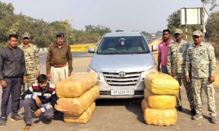 Chhattisgarh Crime : गांजा तस्करी के खिलाफ पुलिस की बड़ी कार्रवाई...150 किलो नशीले पदार्थ के साथ अंतर्राज्यीय तस्कर गिरफ्तार...पढ़ें पूरी समाचार