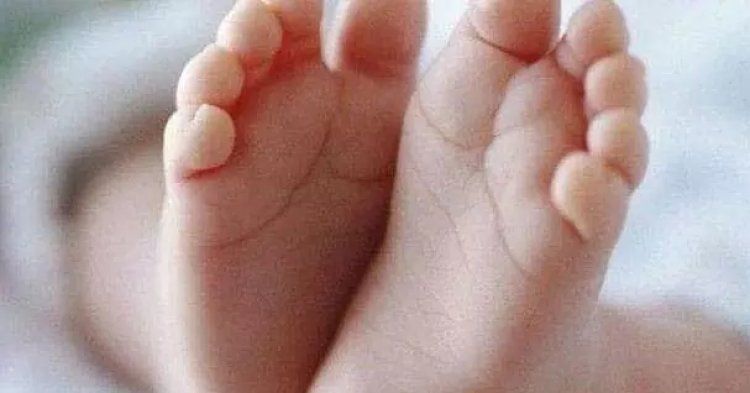 10वीं सरकारी हॉस्टल की छात्रा ने बच्ची को दिया जन्म...घोर लापरवाही...पढ़ें पूरी खबर