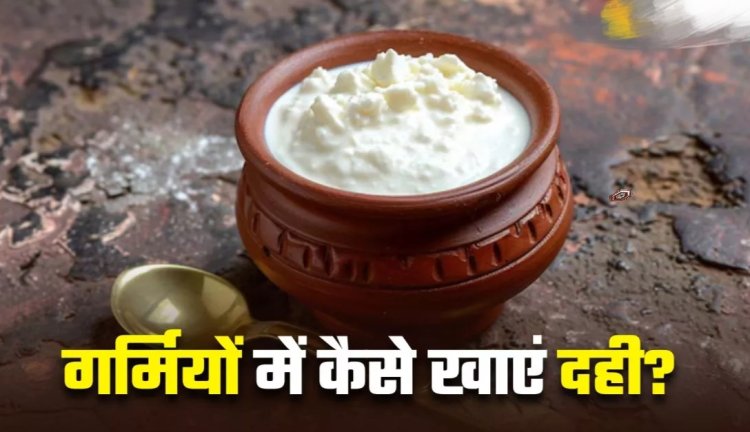 Health Tips : दही में चीनी मिलाएं या नमक, गर्मियों में किस तरह इसे खाना है ज्यादा फायदेमंद?..जाने पूरी जानकारी