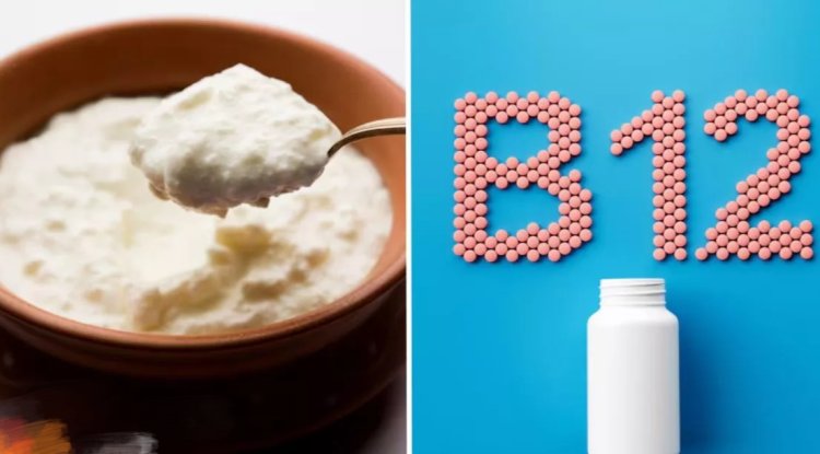 Health Tips : दही में इन 3 चीजों को मिलाकर खाना कर दें शुरू...शरीर को मिलेगा भरपूर फायदा...जाने पूरी जानकारी