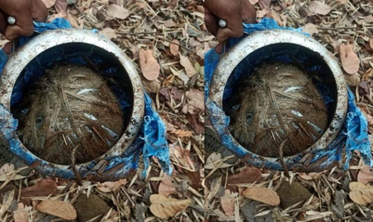 CG Breaking : नक्सलियों के नापाक मंसूबों पर फिरा पानी...गट्टाकाल के जंगल से 5 किलो का प्रेशर कुकर IED बरामद...जवानों ने किया डिफ्यूज...पढ़ें पूरी खबर
