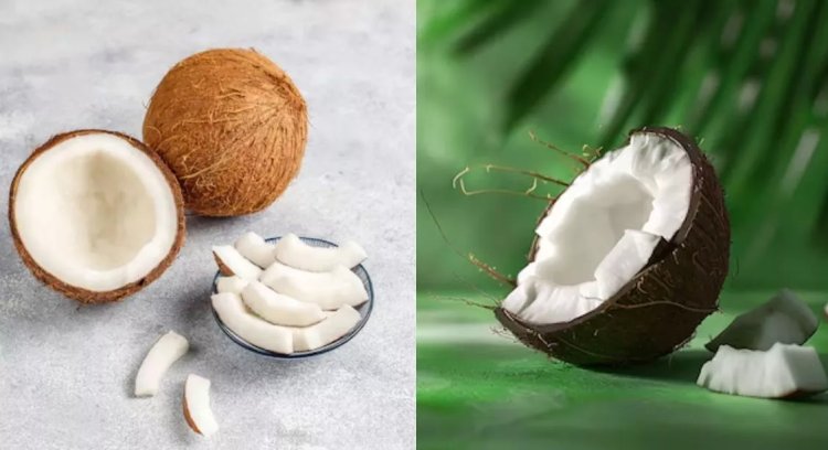 Health Tips : शरीर को ठंडा रखने से लेकर इम्‍युन‍िटी बढ़ाने तक...गर्मियों में नार‍ियल खाने से म‍िलेंगे 6 बड़े फायदे...जाने पूरी जानकारी