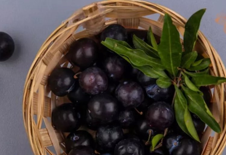 Health Tips : कूड़ा समझकर फेंक देते हैं जामुन के बीज, तो जान लें इसके फायदे..रोज खाने से दूर होंगी 5 परेशानियां