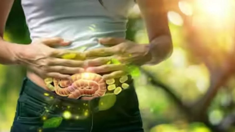 Health Tips : बारिश में पेट की गड़बड़ से बचना है तो जरूर करें ये 3 काम..गट हेल्थ फिट, तो सेहत भी रहेगी हिट