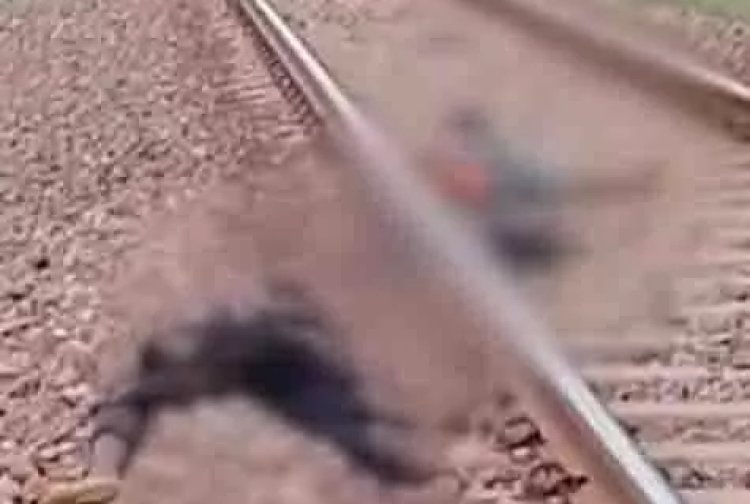 CG Accident : 'आ बैल मुझे मार'.! नींद लगने पर पटरी में सो गए मजदूर.. ट्रेन की चपेट में आने से 2 की मौके पर मौत..2 घायल..पढ़ें पूरी ख़बर