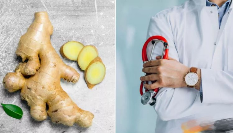 Health Tips : क्या आप जानते हैं रोज 2 हफ्ते तक अदरक खाने से क्या होगा?..हार्वर्ड के डॉक्टर ने दिया है जवाब