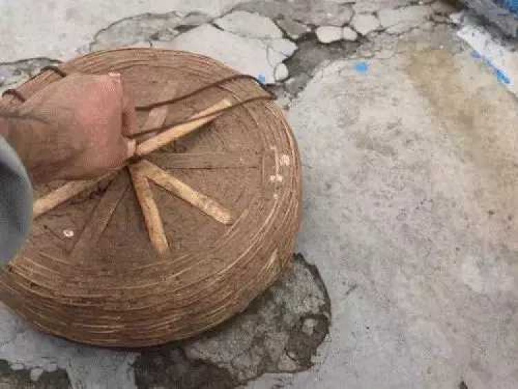 CG News : सपेरा बाबू की साजिश या फिर भूल.! किसान के घर में छोड़ा अपनी सांप का पिटारा..जाने फिर क्या हुआ?.पढ़ें पूरी ख़बर