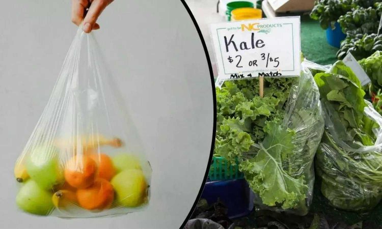 Health Tips : फ्रिज में प्लास्टिक की थैलियों में सब्जियां रखना पड़ सकता है भारी, रिसर्च में हुआ बड़ा खुलासा