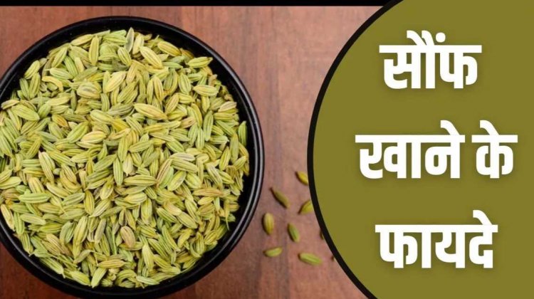 Health Tips : रोज सुबह खाली पेट चबा लें एक चम्‍मच सौंफ..शरीर को मिलेंगे 5 जबरदस्‍त फायदे..द‍िल भी रहेगा हेल्‍दी