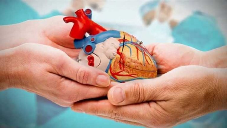 CG Big News : स्वतंत्रता दिवस पर अंगदान करने वालों के परिजनों का होगा सम्मान..देखें लिस्ट..पढ़ें पूरी ख़बर