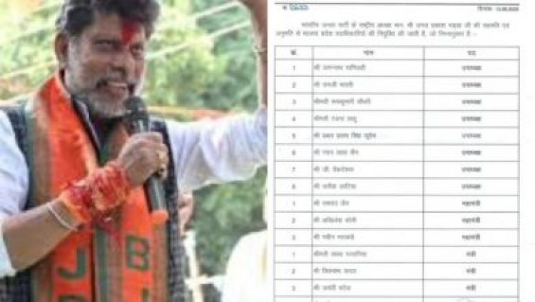 CG Breaking : भाजपा अध्यक्ष किरण सिंहदेव की नई टीम का ऐलान..देखिए पूरी सूची..पढ़ें पूरी ख़बर