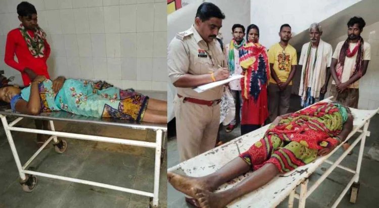 Jashpur News : करैत सांप डंसने से दो महिलाओं की मौत..दोनों महिलाएं थीं रायगढ़ जिले की निवासी..पढ़ें पूरी ख़बर