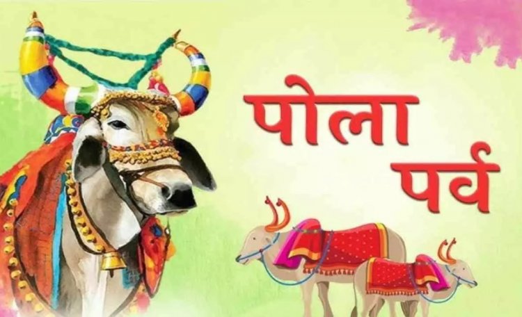 Pola Festival : प्रदेश भर में आज मनाया जा रहा पोला तिहार, गांव से लेकर शहर तक नजर आ रहा उत्साह का माहौल..पढ़ें पूरी ख़बर