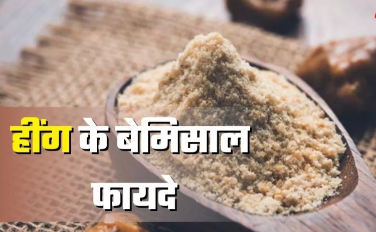 Health Tips : खाने का स्वाद ही नहीं, सेहत का हाल सुधारती है हींग..हर रोज दाल में लगाएं इसका तड़का और देखें कमाल