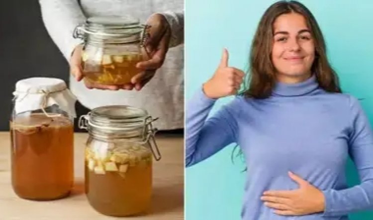 Health Tips : पाचन के लिए दुनिया का सबसे हेल्दी ड्रिंक है केफिर..हार्वर्ड डॉक्टर से जानें फायदे