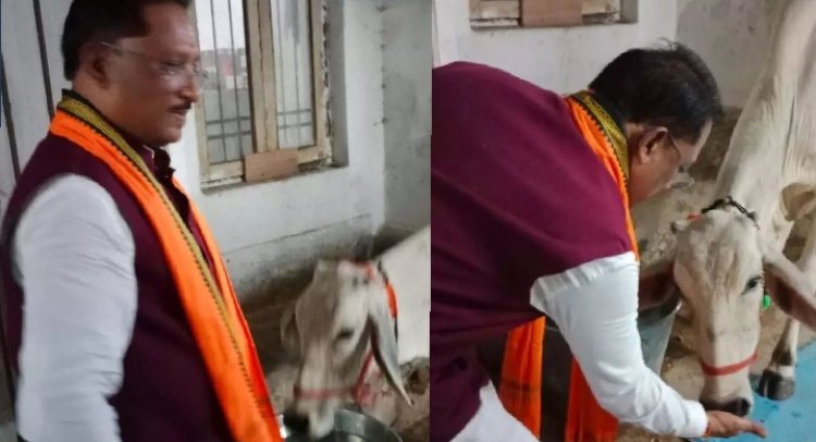 CG Breaking: CM साय ने चंद्र ग्रहण से पूर्व गौ माता को खिलाया रोटी और गुड, कहा-गौ सेवा से मिलती है सच्ची शांति और ऊर्जा..पढ़ें पूरी ख़बर
