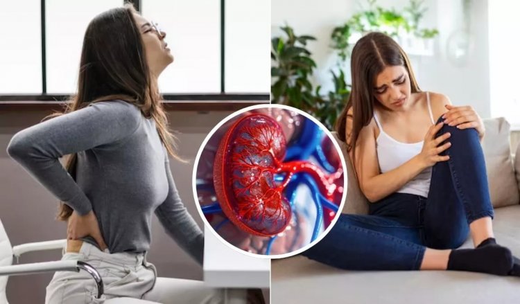 Health Tips : क्या आप भी पैर और कमर दर्द को समझ रहे साधारण? किडनी की इस बीमारी के हैं संकेत..न करें अनदेखा