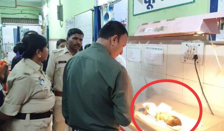 CG News : कलयुगी मां ने 8 दिन की नवजात बच्ची को नहर किनारे छोड़ा..इलाके में मचा हड़कंप..पढ़ें पूरी ख़बर