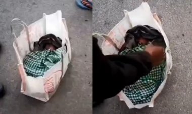 Cruel Mother : सड़क किनारे झोले में मिला नवजात! रोने की आवाज ने खींचा लोगों का ध्यान