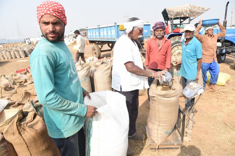 राज्य में 14,54,451 क्विंटल धान की हो चुकी है खरीदी, टोकन तुंहर एप्प से किसानों को हो रही है आसानी