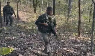 बीजापुर में नक्सली मुठभेड़: 12 नक्सली ढेर, 3 जवान शहीद; दंतेवाड़ा–बीजापुर बॉर्डर पर घंटों चली मुठभेड़