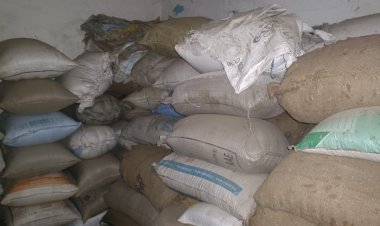 *कलेक्टर के निर्देश पर अवैध धान परिवहन,भंडारण पर बड़ी कार्यवाही,,खरीफ 2025-26 मे अब तक 42 प्रकरण दर्ज,कुल 1537 क्विंटल धान जब्त,,पराग ट्रेडर्स राइस मिल कुर्रा पर कार्यवाई कर 508 क्विंटल धान जब्त*