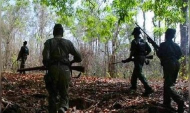 CG Naxal Encounter: दंतेवाड़ा-बीजापुर बॉर्डर पर मुठभेड़, 6 से अधिक नक्सलियों के मारे जाने की खबर