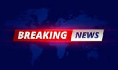 छत्तीसगढ़ के कोरबा जिले में बिलासपुर के तांत्रिक समेत 6 लोगों ने मिलकर 3 लोगों को मार डाला