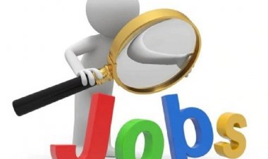 CG Job : 300 पदों पर निकली भर्ती, इस दिन होगा प्लेसमेंट कैंप…