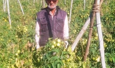 तकनीक सहयोग और मेहनत से बदली खेती की तस्वीर