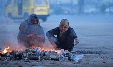 छत्तीसगढ़ में बढ़ी ठंड की मार: उत्तर-मध्य जिलों में शीतलहर और घने कोहरे की चेतावनी