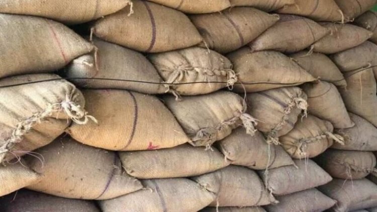 सवा महीने में अब तक 1 लाख 52 हजार क्विंटल अवैध धान जब्त