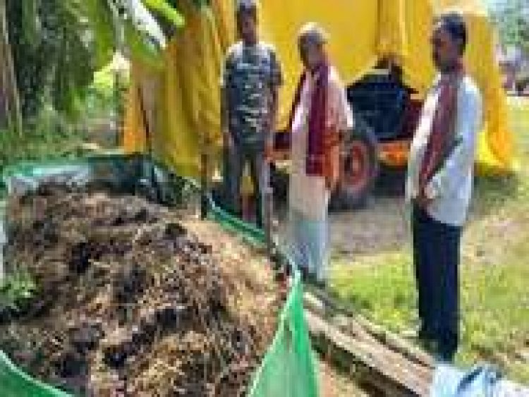 परिवार में लोग लगातार बीमार पड़ते थे, तब समझ आया कि रसायनों के उपयोग से उगाई जा रही सब्जियां ही हमारी सेहत बिगाड़ रही