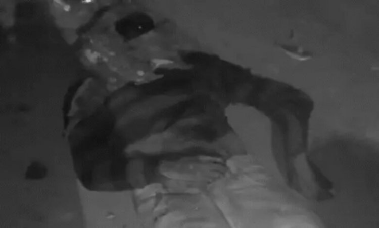 उधारी का पैसा वापस मांगने पर दोस्त का सिर कुचला: दुर्ग में 4 महीने पहले दिए रुपए को लेकर हिंसक हमला