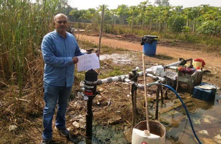 सब्जी उत्पादन के क्षेत्र में छत्तीसगढ़ अग्रसर, इस वर्ष 17,881 किसान लाभान्वित