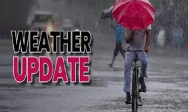 CG Weather Update: छत्तीसगढ़ में कड़ाके की ठंड, घना कोहरा और हल्की बारिश के आसार