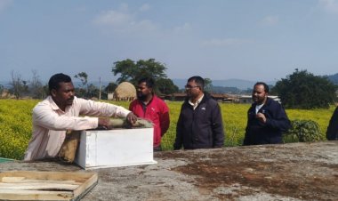 *राष्ट्रीय बागवानी मिशन एवं राज्य योजना अंतर्गत मधुमक्खी पालन में लाभान्वित हो रहे किसान*