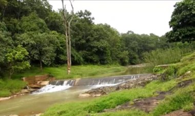 छत्तीसगढ़ का वो 'खौफनाक' झरना, जहां पानी की धार से निकलती है बाघ की दहाड़; जानें क्या है इसका रहस्य