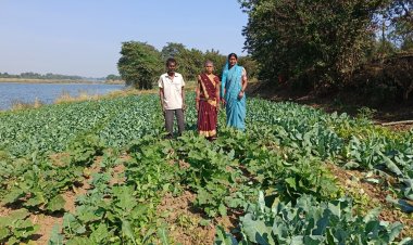 प्राकृतिक खेती से कृषक मनभौतिन बाई एवं माखन निषाद को मिला भरपूर लाभ