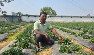 धान की खुशहाली से सजी खुशियाँ: किसान प्रेमचंद लहरे 9.61 लाख की धान बिक्री से करेंगे भतीजी का विवाह