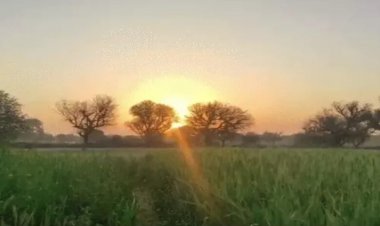 उत्तर-मध्य छत्तीसगढ़ में अगले 48 घंटों में बढ़ेगी ठंड, वेस्टर्न डिस्टर्बेंस का असर