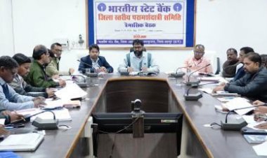 पात्र हितग्राहियों को ऋण प्रदाय करने में बरतें उदारता, ताकि योजनाओं के लाभ से कोई ना हो वंचित : कलेक्टर व्यास