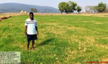 कम लागत, बम्पर पैदावार: गेहूं की खेती को मुनाफे का सौदा कैसे बनाएं?