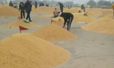 *धान खरीदी मे रिकॉर्ड प्रगति 48 घंटे मे भुगतान,प्रतिदिन 3 लाख   मीट्रिक टन की खरीदी,खरीफ विपणन वर्ष 2025 - 26 मे 23.48 लाख किसानों से धान खरीदी 29597 करोड़ का भुगतान*