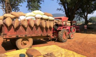 34897 किसानों से खरीदी गई 2698120.40 क्विंटल धान