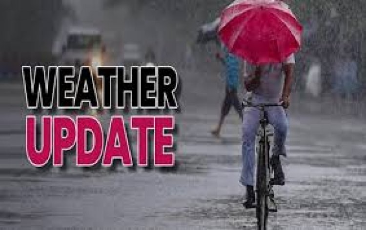 CG Weather Update: छत्तीसगढ़ में कड़ाके की ठंड, घना कोहरा और हल्की बारिश के आसार